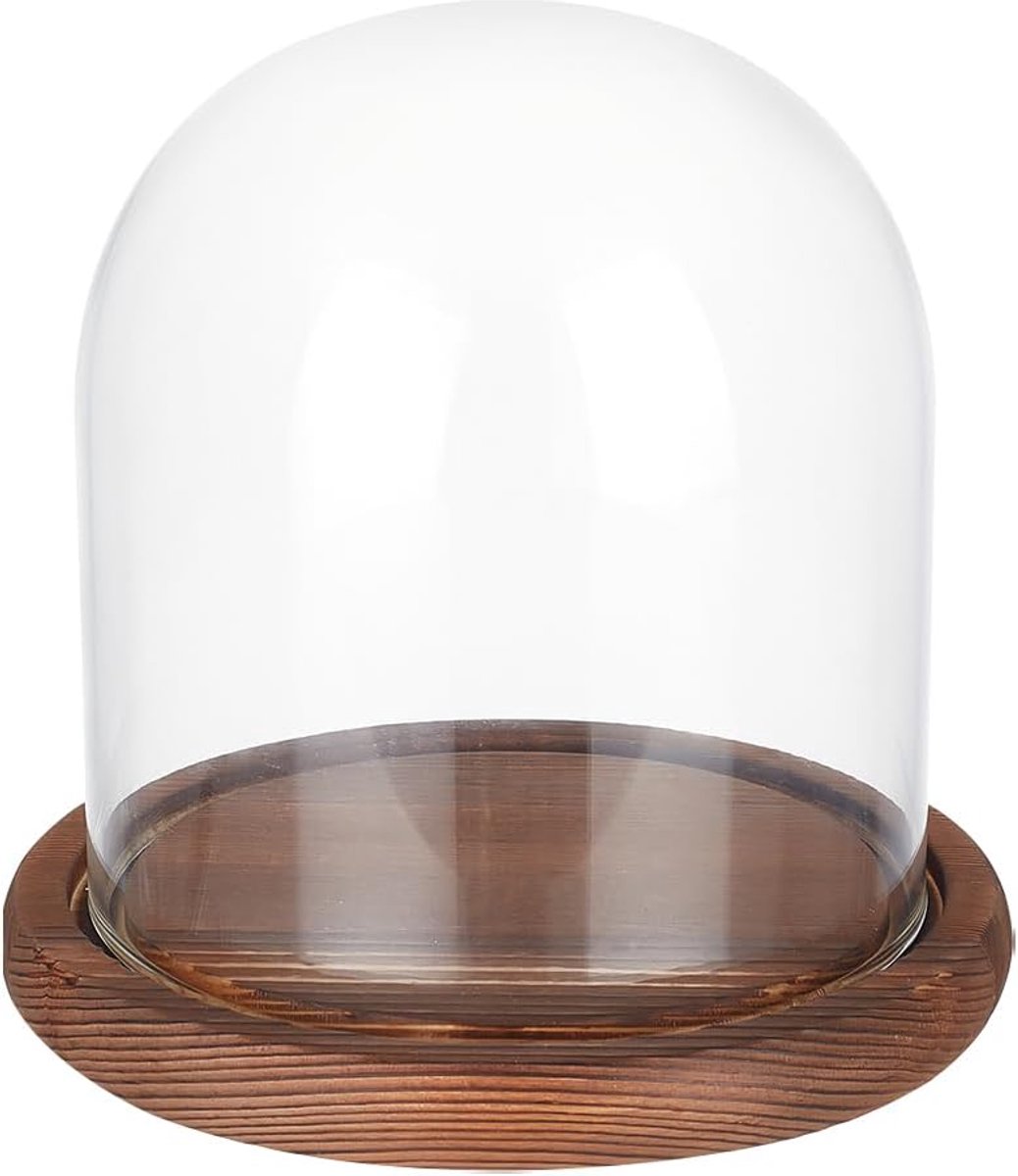 Dailygoods - Eeuwige Transparante Bloem Glas Cover met Houten Basis