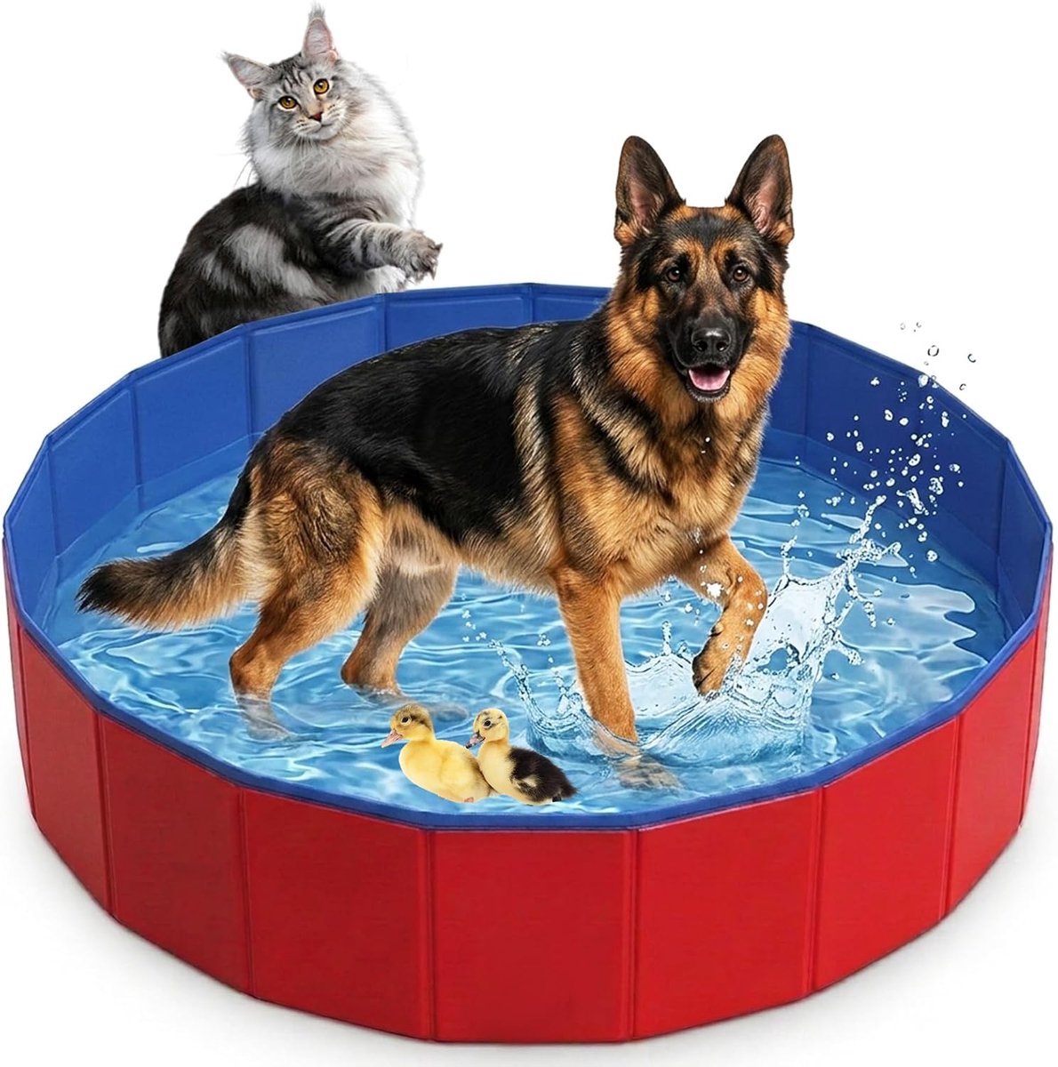 hondenzwembad 60 x 20 cm, hondenbad, ballenbad voor honden, douche, hondenzwembad voor kleine honden, zwembad met afvoerventiel, hondenzwembad voor grote en kleine honden