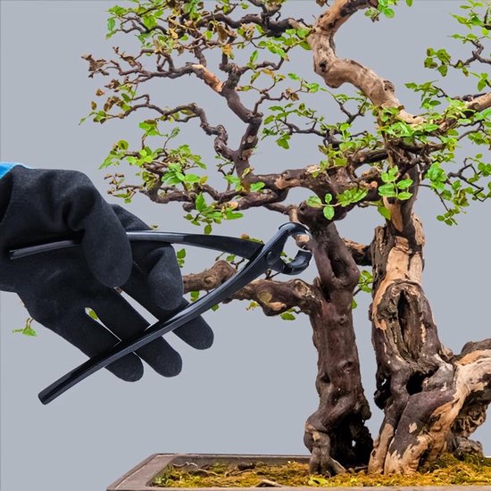 Okado Bonsai Gereedschapset - 2 Bonsaitangen - Metaal - Zwart — afbeelding 3