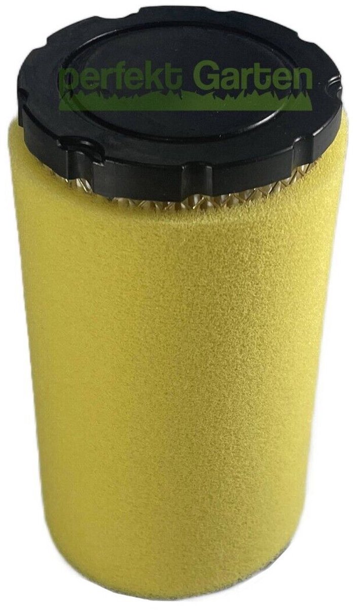 luchtfilter voor Briggs & Stratton 33R877, 33S777, 33S877 / F1 Distribution 4109734