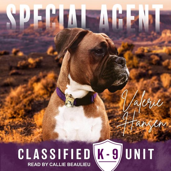 Special Agent - cover