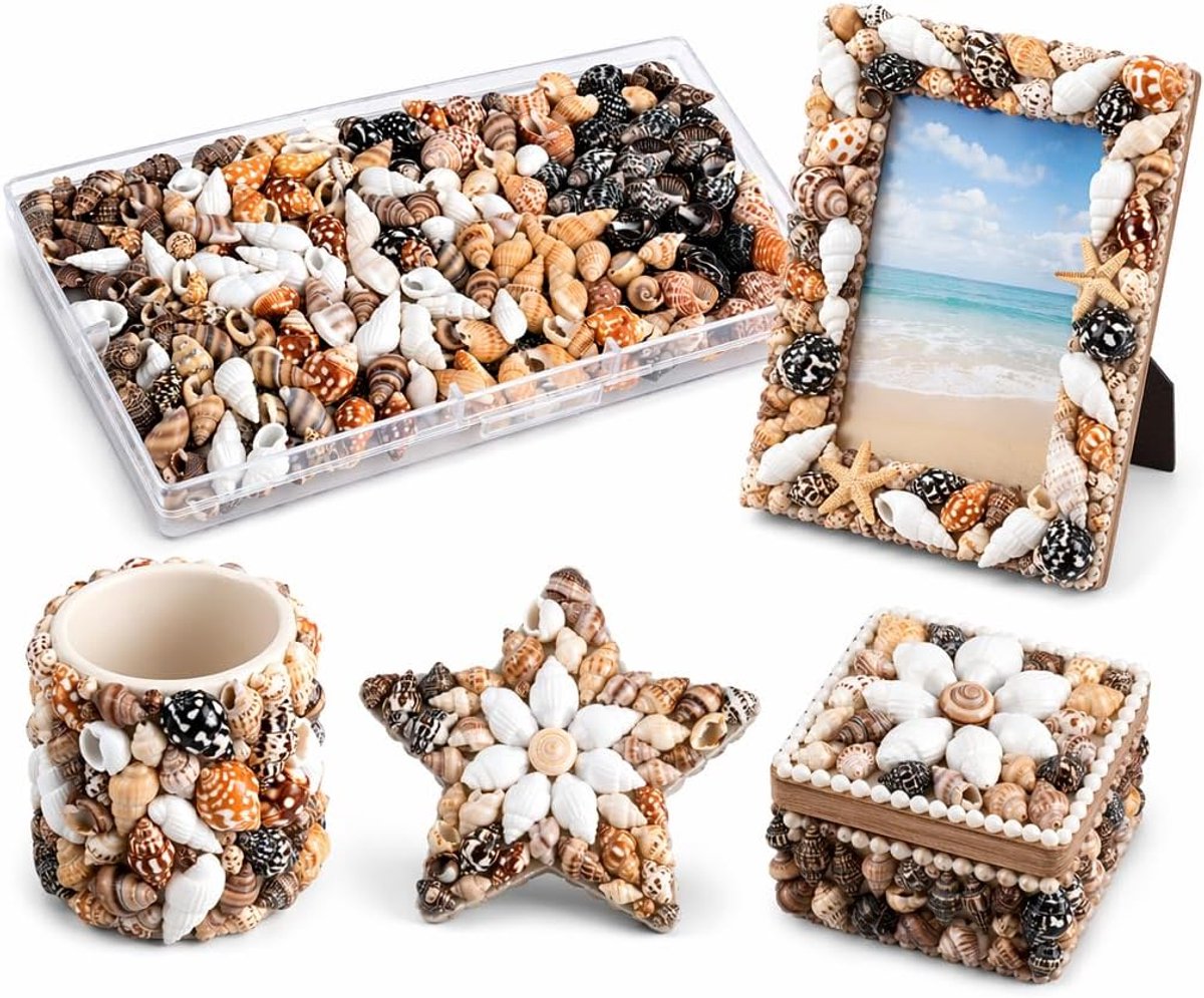 310 stuks schelpdecoratie, natuurlijke schelpen, zeester en schelp, voor doe-het-zelf halskettingen, windgong, wensflessen en aquariumdecoratie