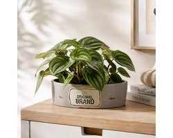 Riverdale - bloempot - vintage - grijs H10 x 27 x 8.5 cm - ovaal