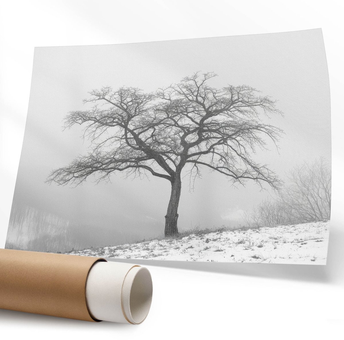 Coloray Polycanvas Wandposter - Paarden Bij Elkaar, Fotografie - 594 x 840 mm - Zwart-wit Poster - Rechthoek - Interieurdecoratie - Kantoor - Klassiek