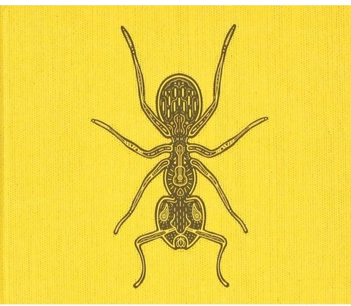 Hermano Hormiga - Ant Farm - Educatieve Observatie - Gedetailleerd Leefgebied - 32 x 32 x 2 cm - Niet gespecificeerd