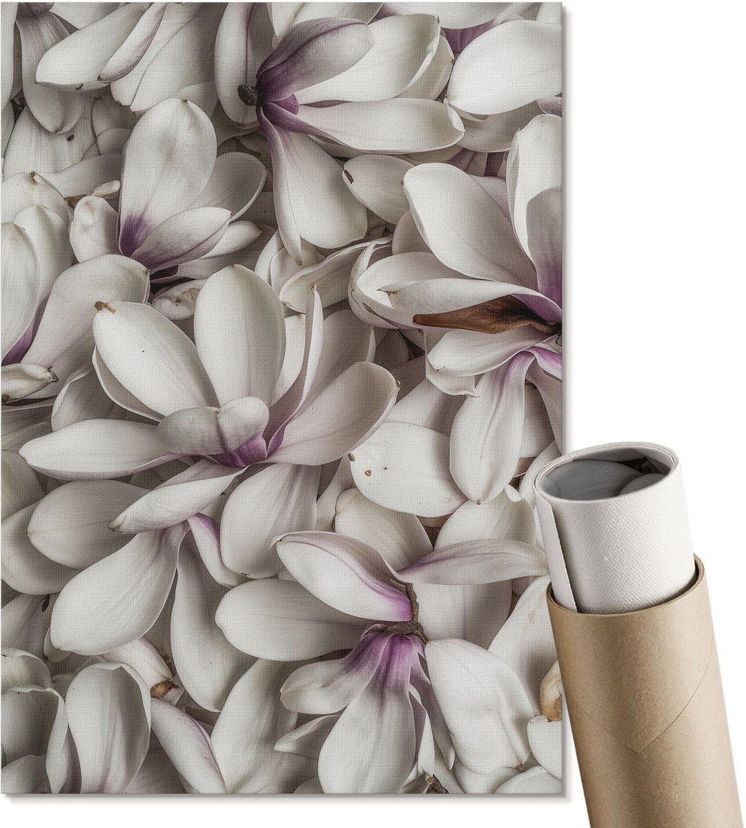 Coloray Polycanvas Wandposter - Bloemenmotief, Fotografie - A4 - Wit Wanddecoratie - Rechthoek - Muurkunst - Woonkamer, Slaapkamer, Kantoor - Klassiek