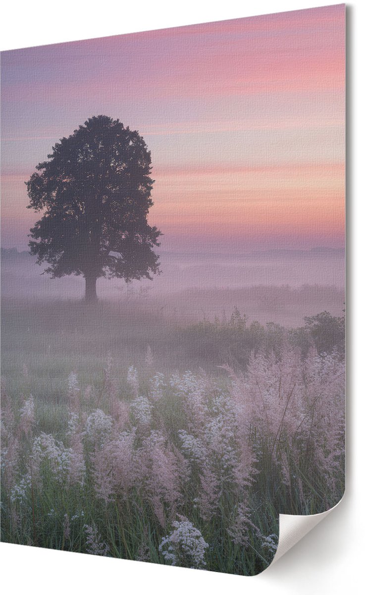Coloray Polycanvas Wandposter - Paard Met Rollers, Illustratie - A2 - Roze Motief - Rechthoek - Muurkunst - Woonkamer, Slaapkamer, Kantoor - Humoristisch