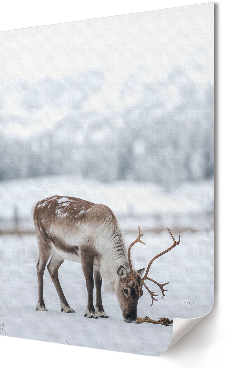 Coloray Polycanvas Wandposter - Passie Voor Racen, Illustratie - A2 - Zwart-wit Decoratie - Rechthoek - Canvasposter - Woonkamer, Slaapkamer, Kantoor - Popcultuur