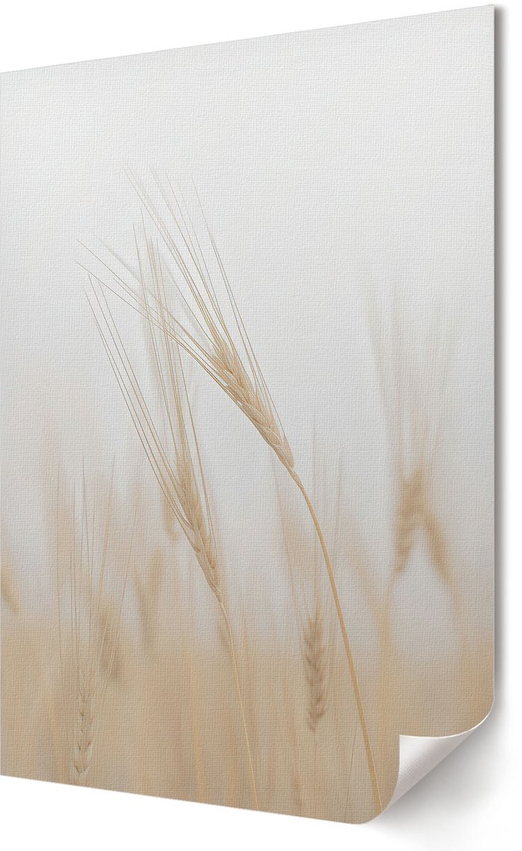Coloray Canvas Poster Polycanvas - Wellingtonia, Schilderen - A2 - Groen Decoratie - Rechthoek - Wandkunst - Woonkamer, Slaapkamer, Kantoor - Klassiek