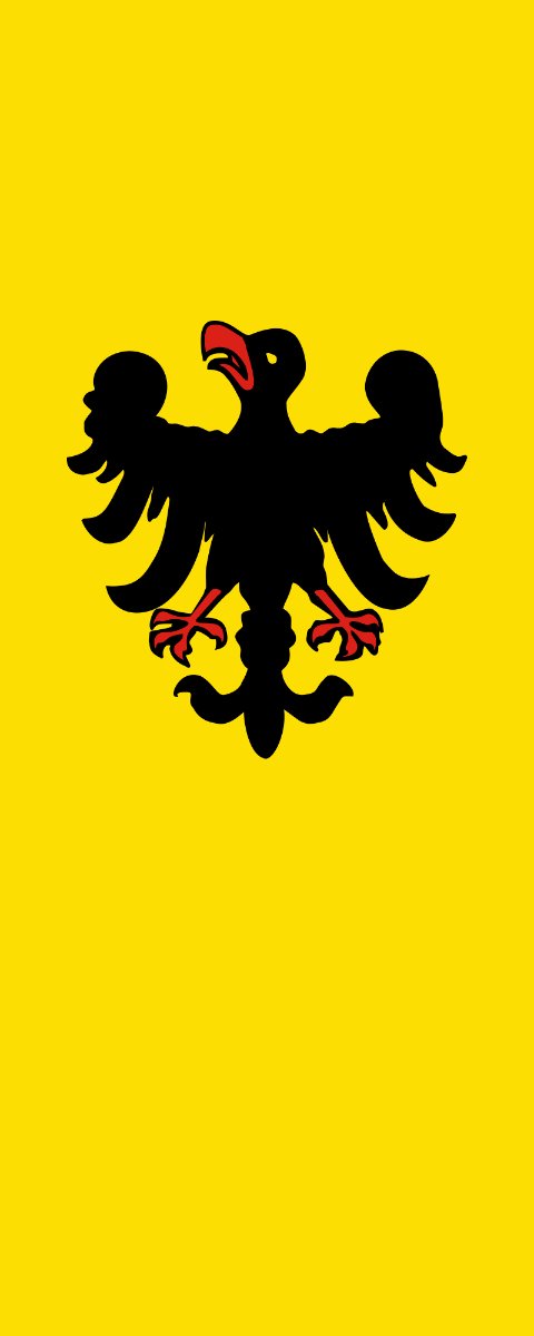Vlag Sinsheim 200x300cm