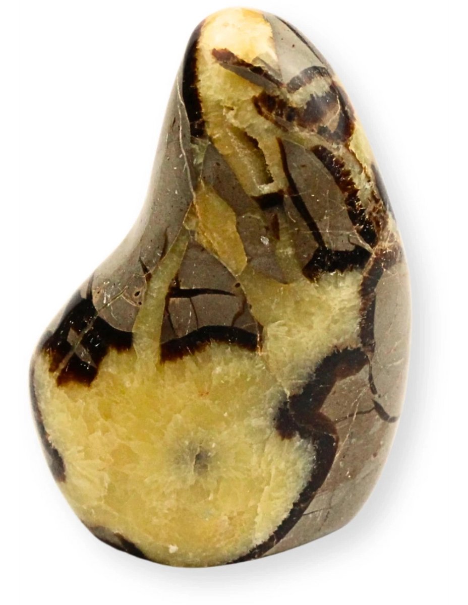 Septarie sculptuur nr.11