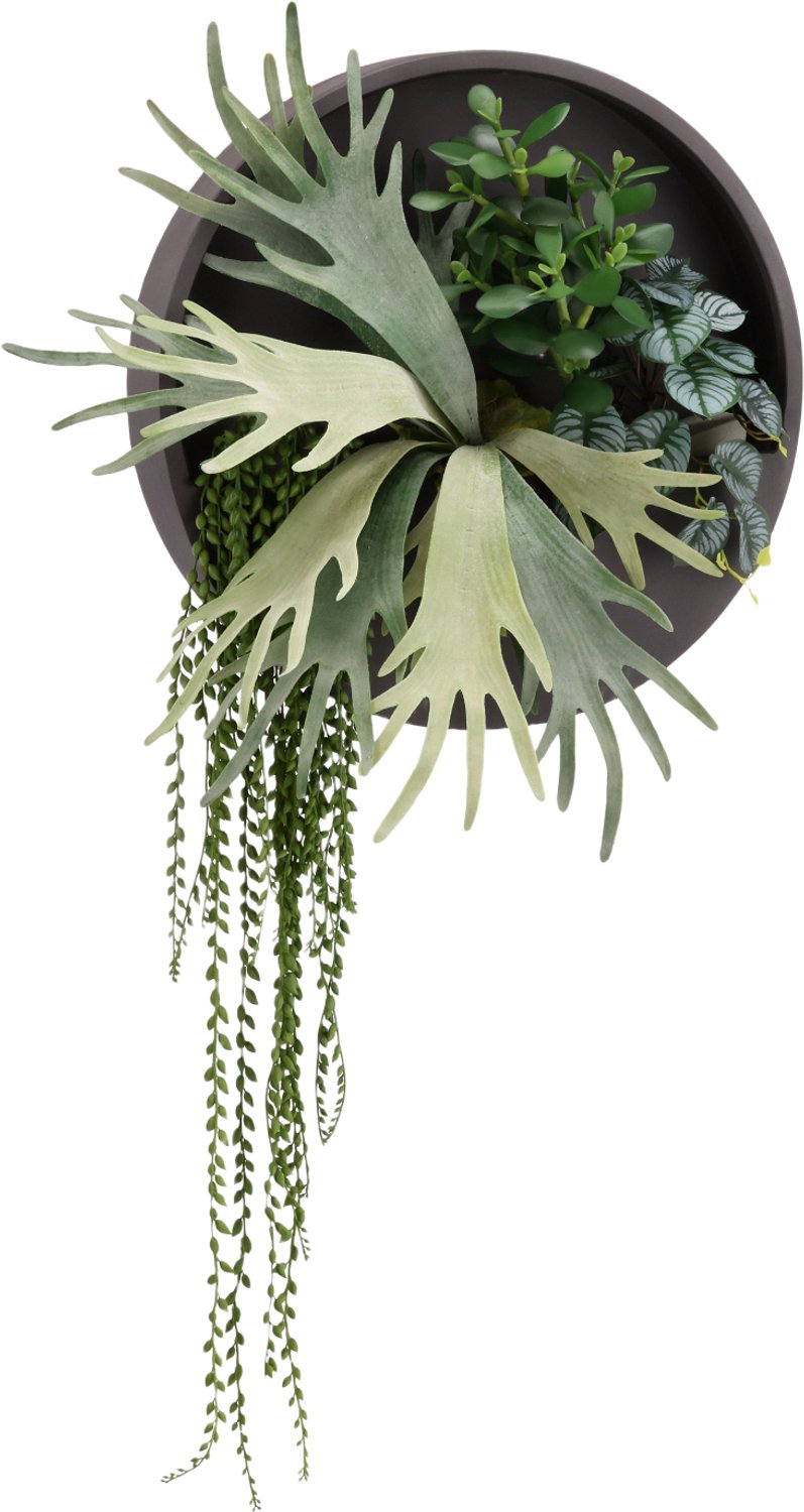 Wandhanger Daan - DIY Wanddecoratie Kunstplanten 105x60cm