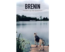 Brenin