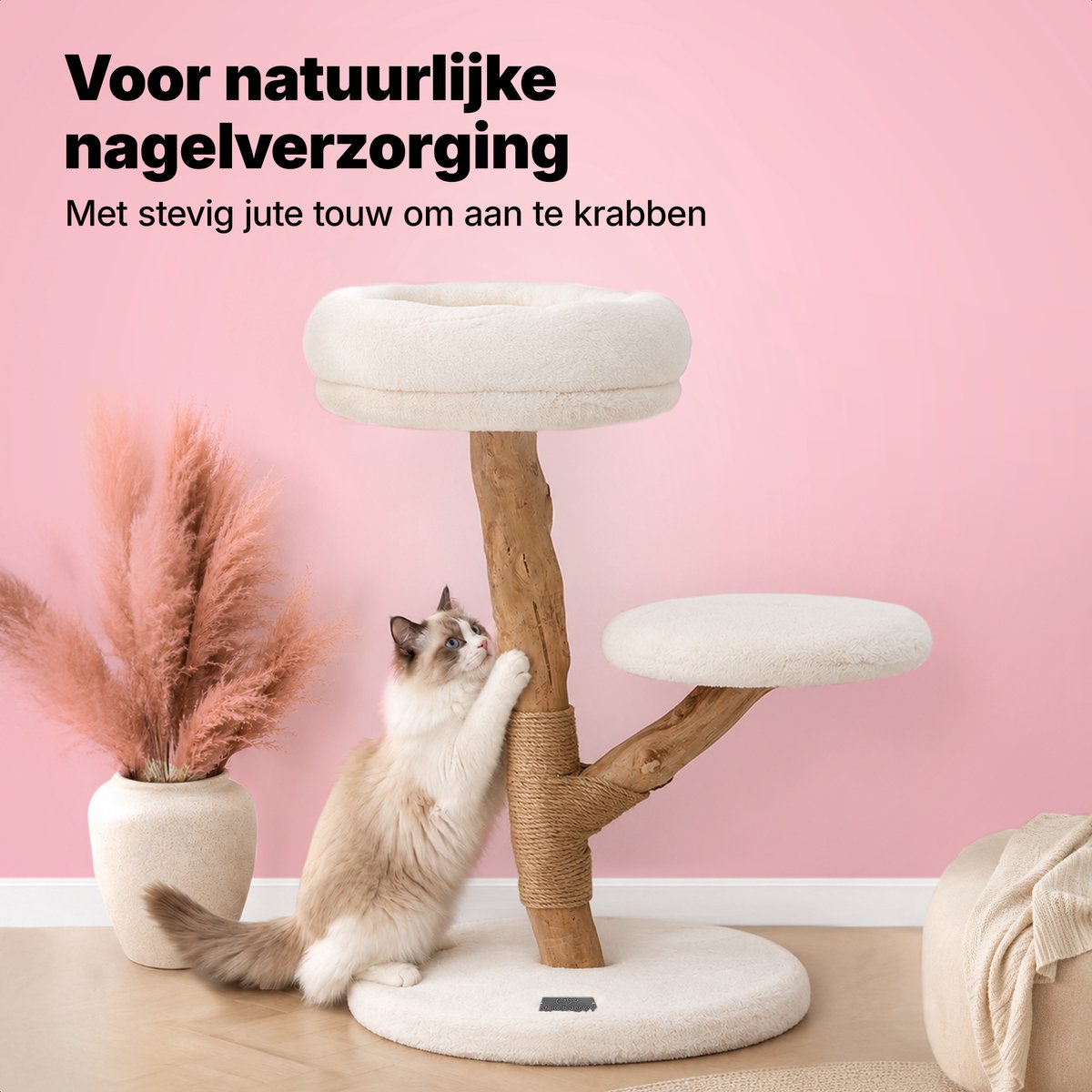 Jake Jake and Jacky Krabpaal - afbeelding 4