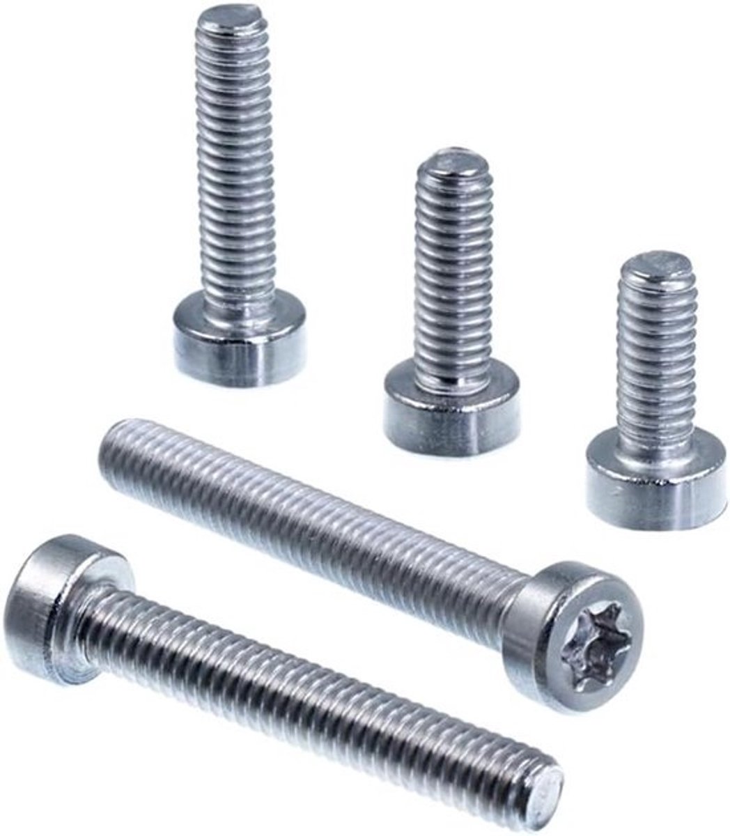 Cilinderschroeven - Lage kop - Voor het bevestigen van materialen - Roestvrij staal V2A - M8 x 75 mm - Zilver