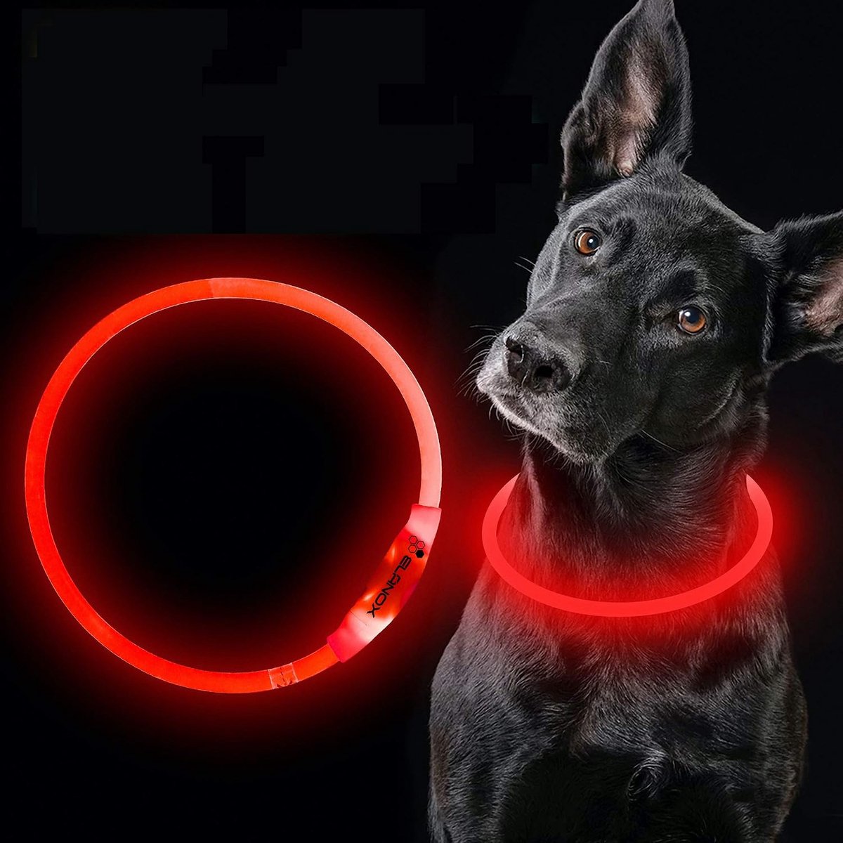 LED Dog Collar Rechargeable USB Universal Size Luminous Collar (Red) - ShopVlot