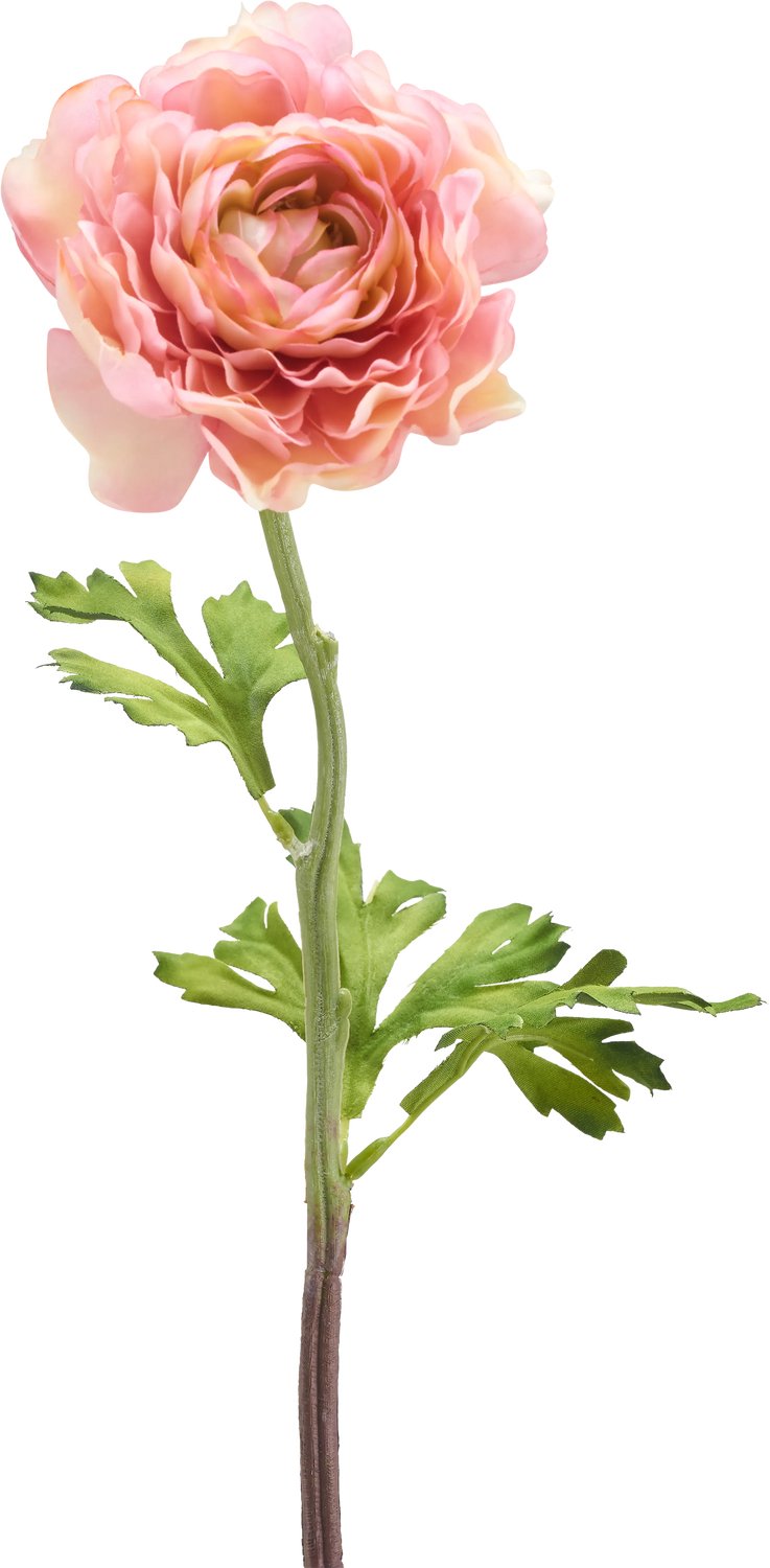 Easyplants | Kunstbloem Ranunculus 51 cm roze | Zijde | Nepbloemen | roze | Onderhoudsvrij | Kant-en-klaar