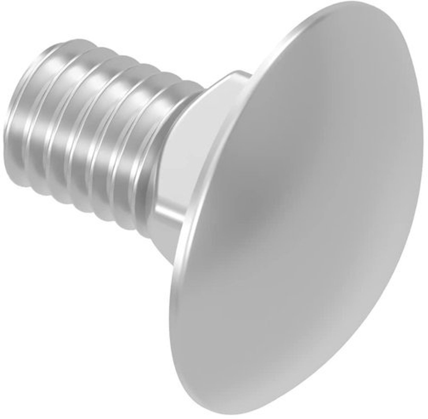 Slotschroeven M12 - Wagenbouten - Bevestigen van onderdelen - Roestvrij staal V2A - M12 x 25 mm