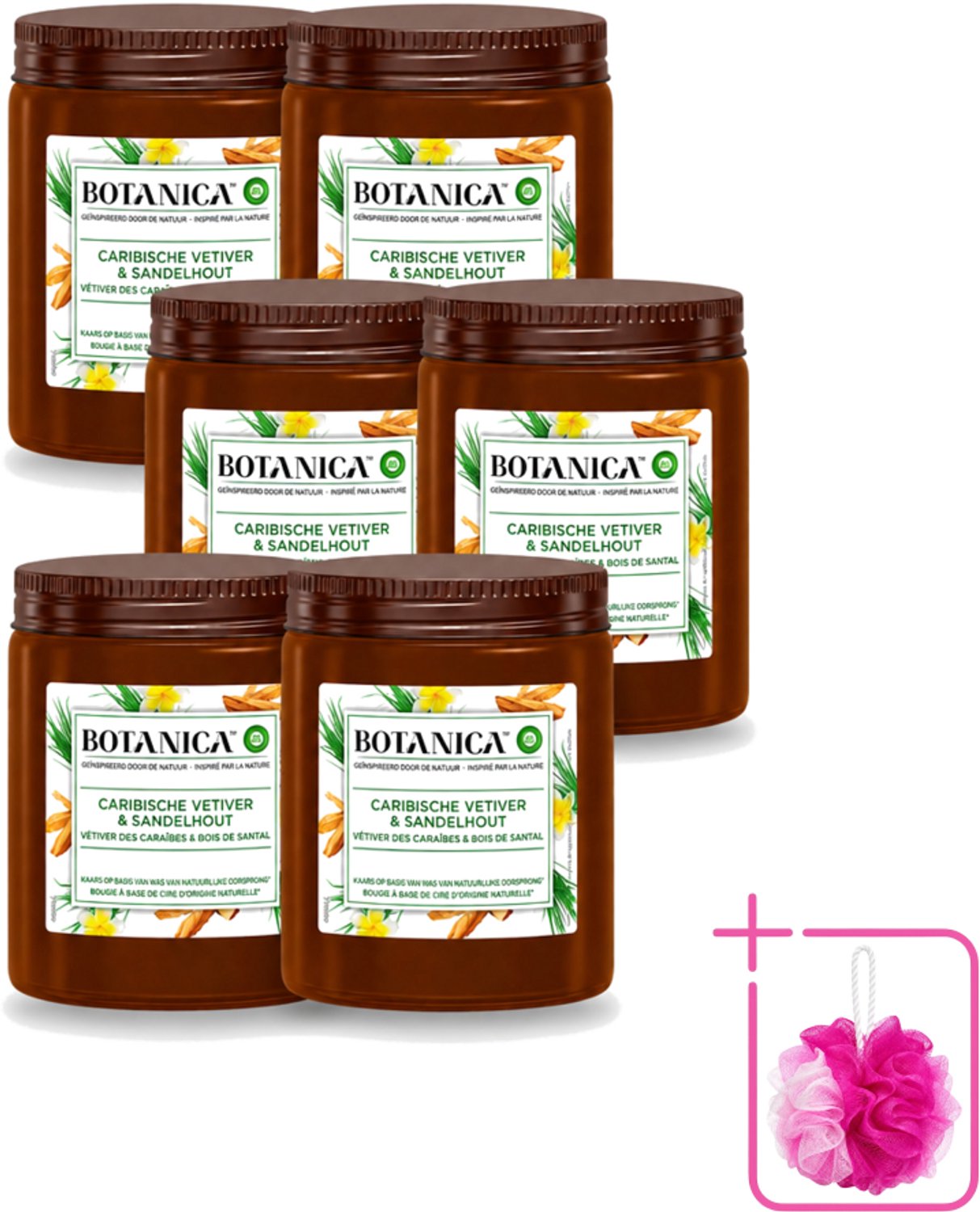 Air Wick 6 x Botanica by Air Wick - Geurkaars - Vetiver & Sandelhout - 40 Uur Brandduur - Bulkverpakking - Geurkaars vetiver sandelhout - Douchemop - Vetiver geur Bruin