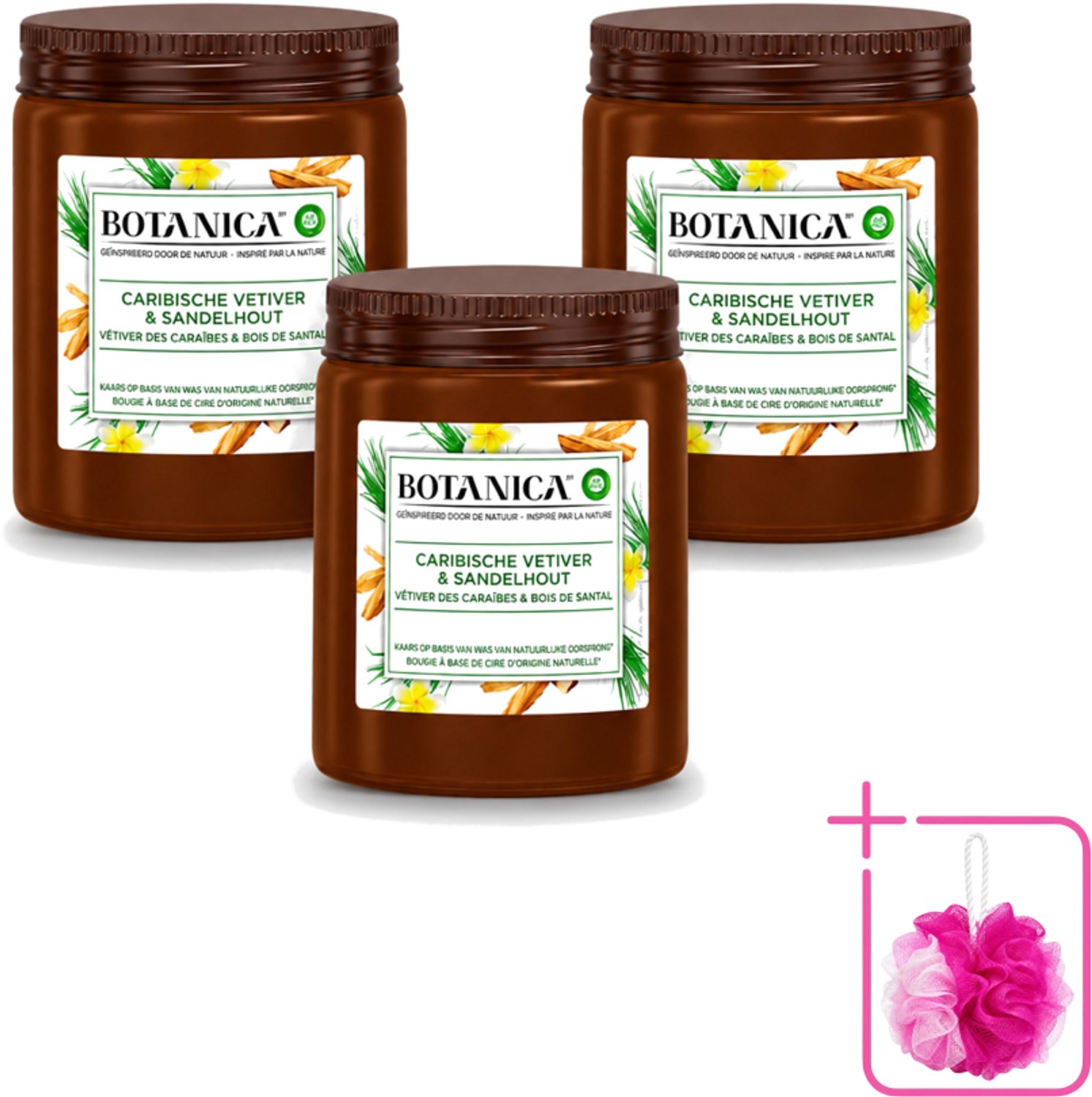 Air Wick 3 x Botanica by Air Wick - Geurkaars - Vetiver & Sandelhout - 40 Uur Brandduur - Bulkverpakking - Geurkaars vetiver sandelhout - Douchemop - Vetiver geur Bruin