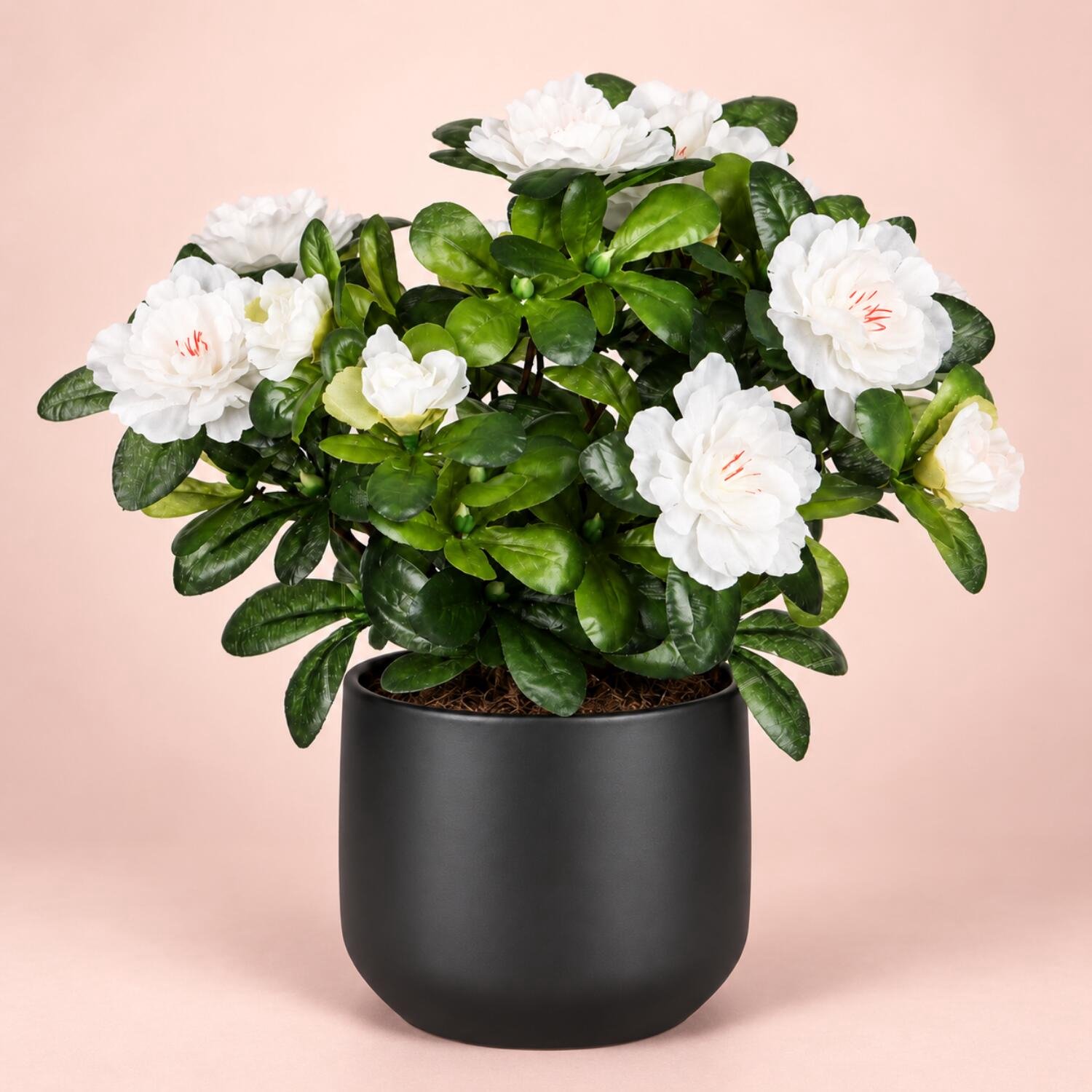 Mica Decorations Kunstplant - Azalea wit - H27 cm - in antraciet bloempot - keramiek - complete set van pot en plant - decoratie stuk