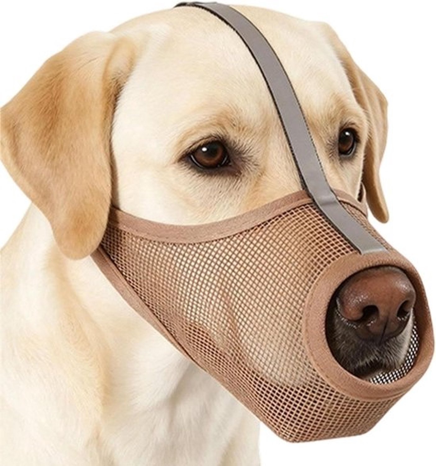 Hondenmuilkorf - Mondbescherming voor hond - Veiligheid tijdens wandelingen - Reflecterend en ventilerend - Se référer au descriptif - Kaki