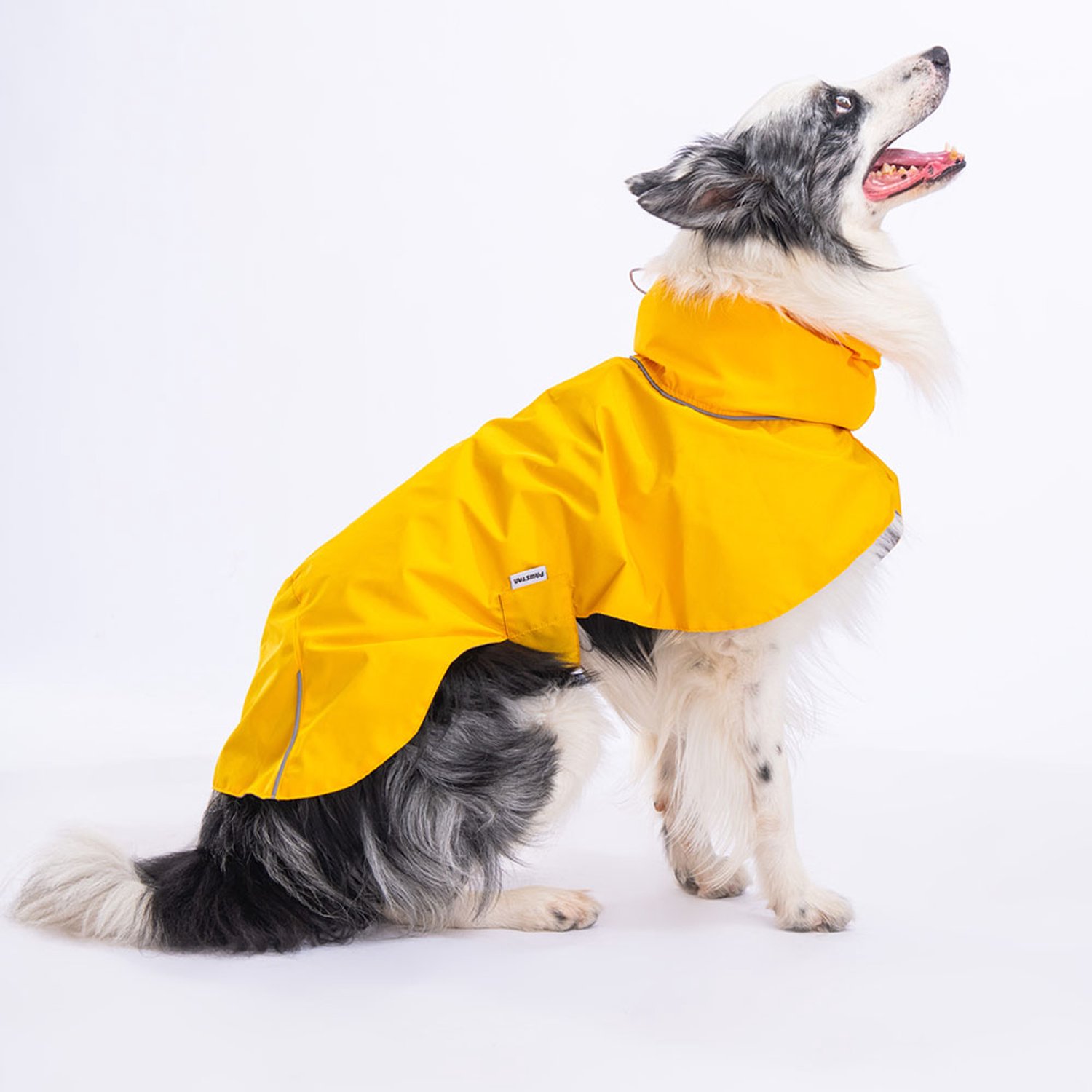 Pawstar Colombia - Hondenregenjas - Geel - S