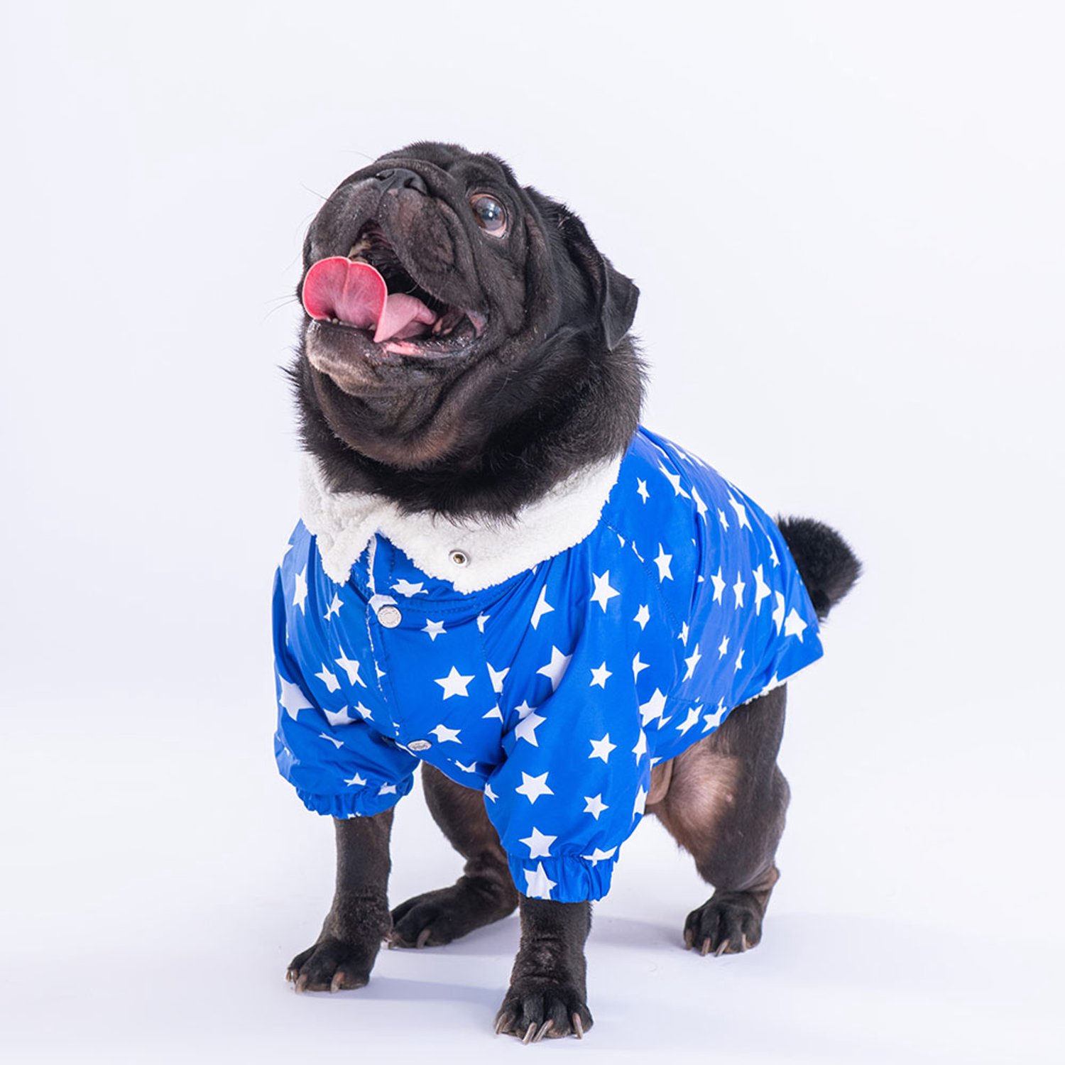 Pawstar Stars - Hondenregenjas - Blauw - M