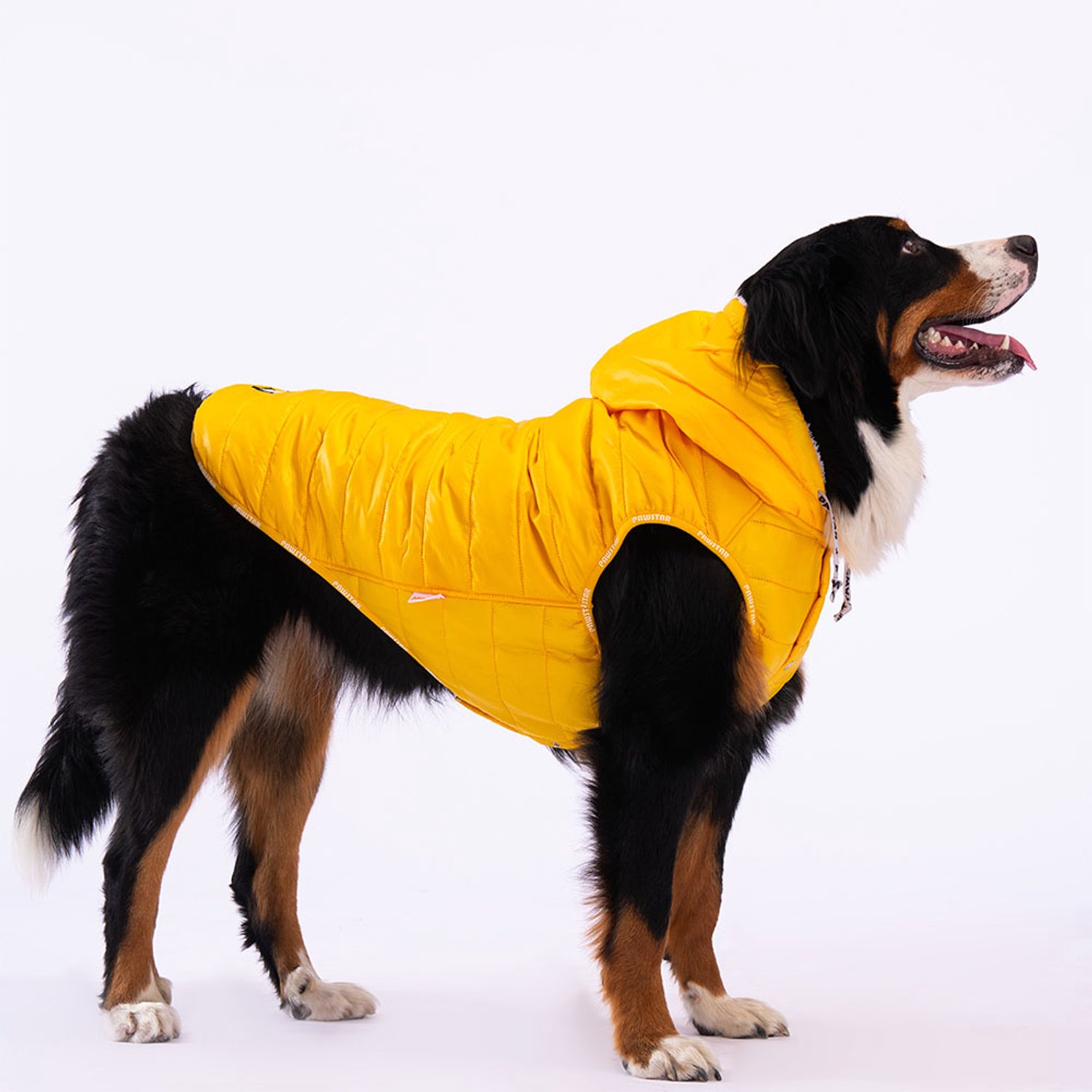 Pawstar Railway Big - Hondenbodywarmer - Geel - 7XL