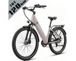 TTGO C7SE E-bike - 25 km/u - 28inch - 130km actieradius - 250W motor - 36V18Ah accu - 75NM - grijs