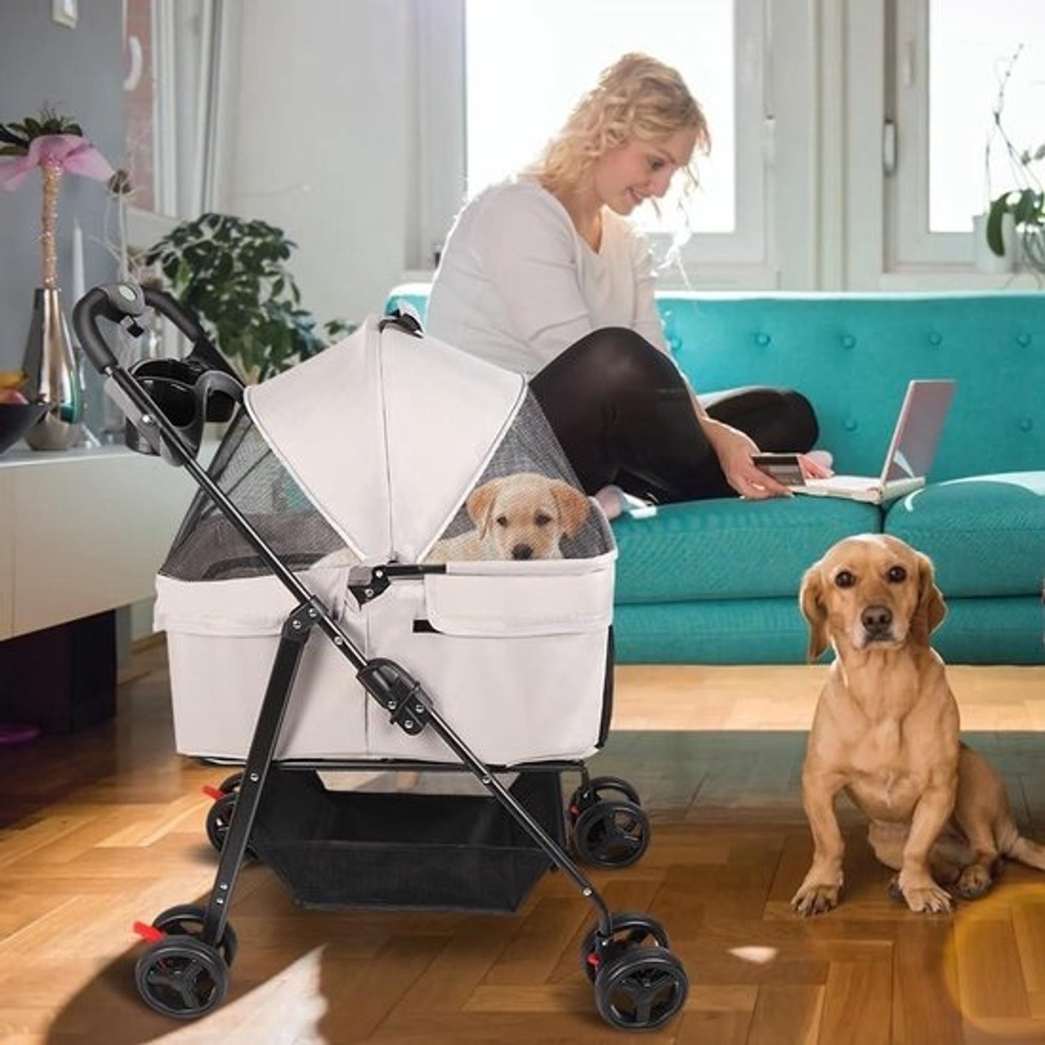 Inklapbare buggy voor huisdieren - Buggy voor honden en katten - Op pad met je huisdier - Los te maken en in te klappen