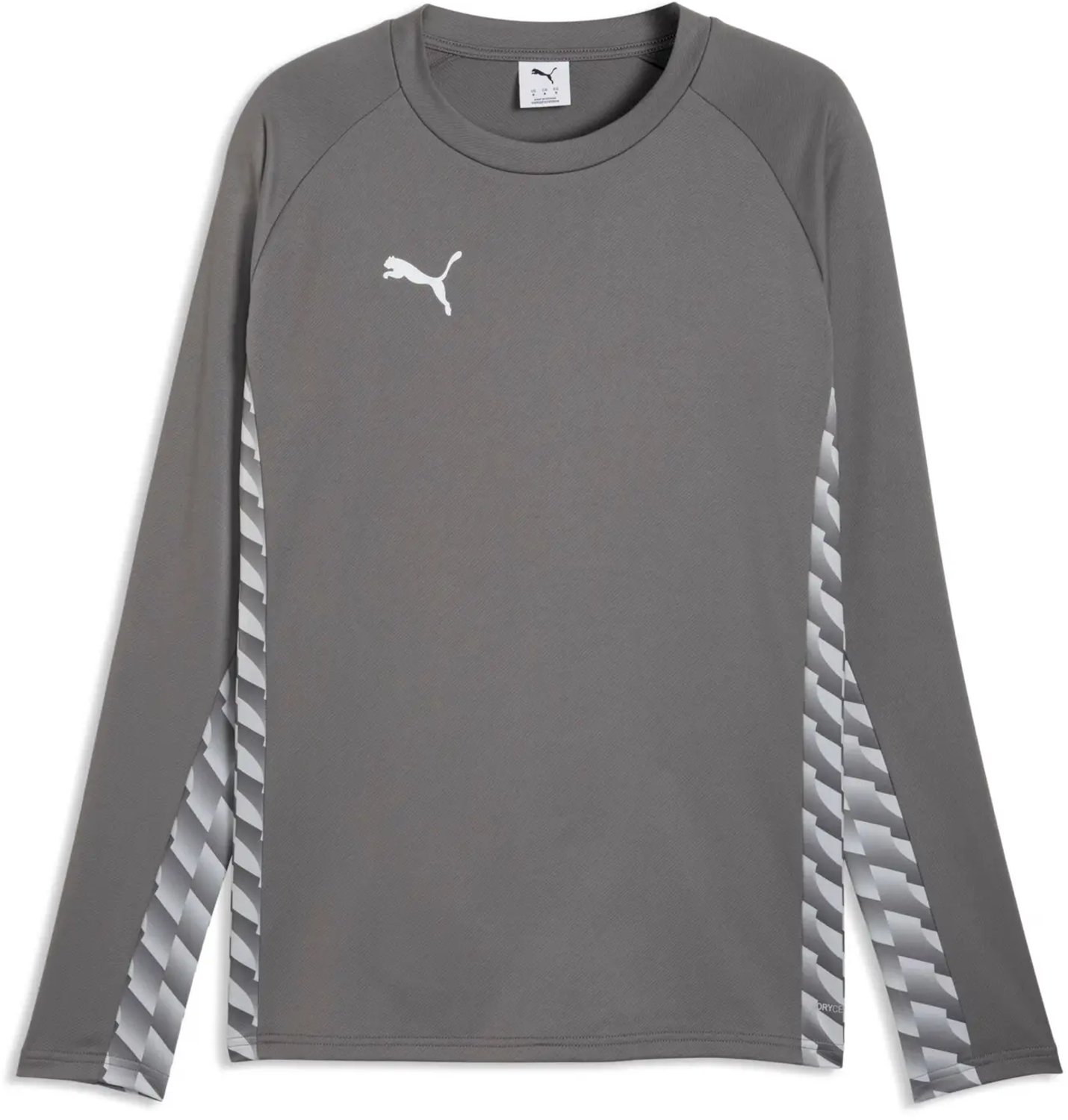 Langarmshirt Puma TeamLIGA26 Grijs