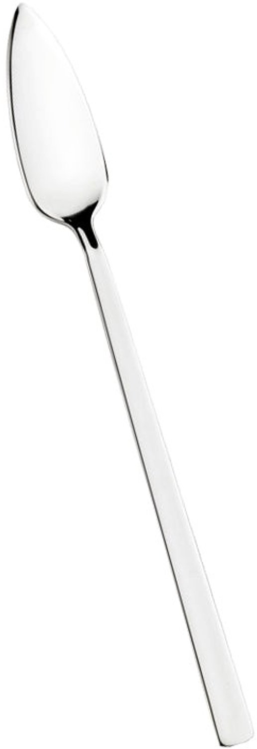 Pintinox Tecna vismes inox 18/10