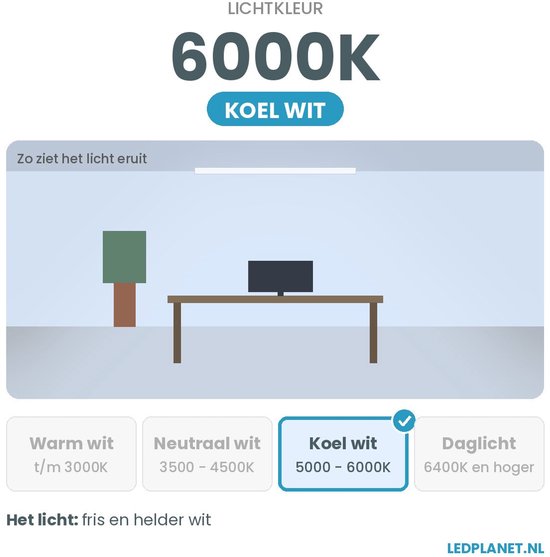 Grafiek toont 6000K koel wit licht boven een bureau. Opties: warm wit, neutraal wit, koel wit en daglicht.