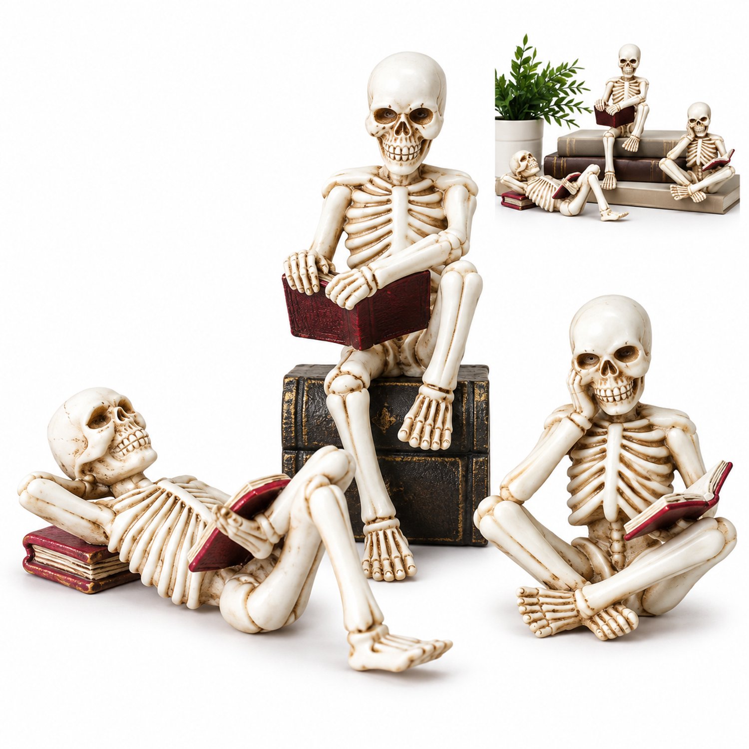 VHV - Halloween Decoratie Skelet Beeldjes 3 Stuks - Lezende Schedel Figuren - Griezelige Versiering voor Boekenplank en Bureau - Gothic Woonaccessoires