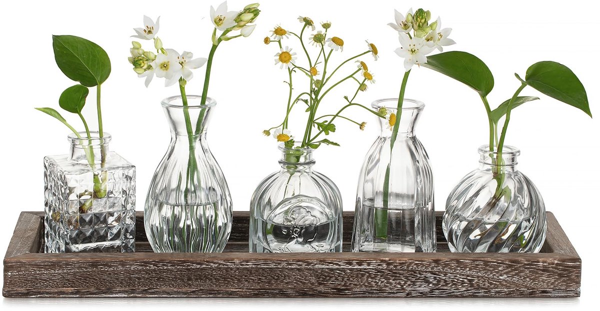 Famanu Glazen knopvazen voor bloemen, 5 stuks vintage kleine vazen voor tafeldecoratie met houten dienblad. wit