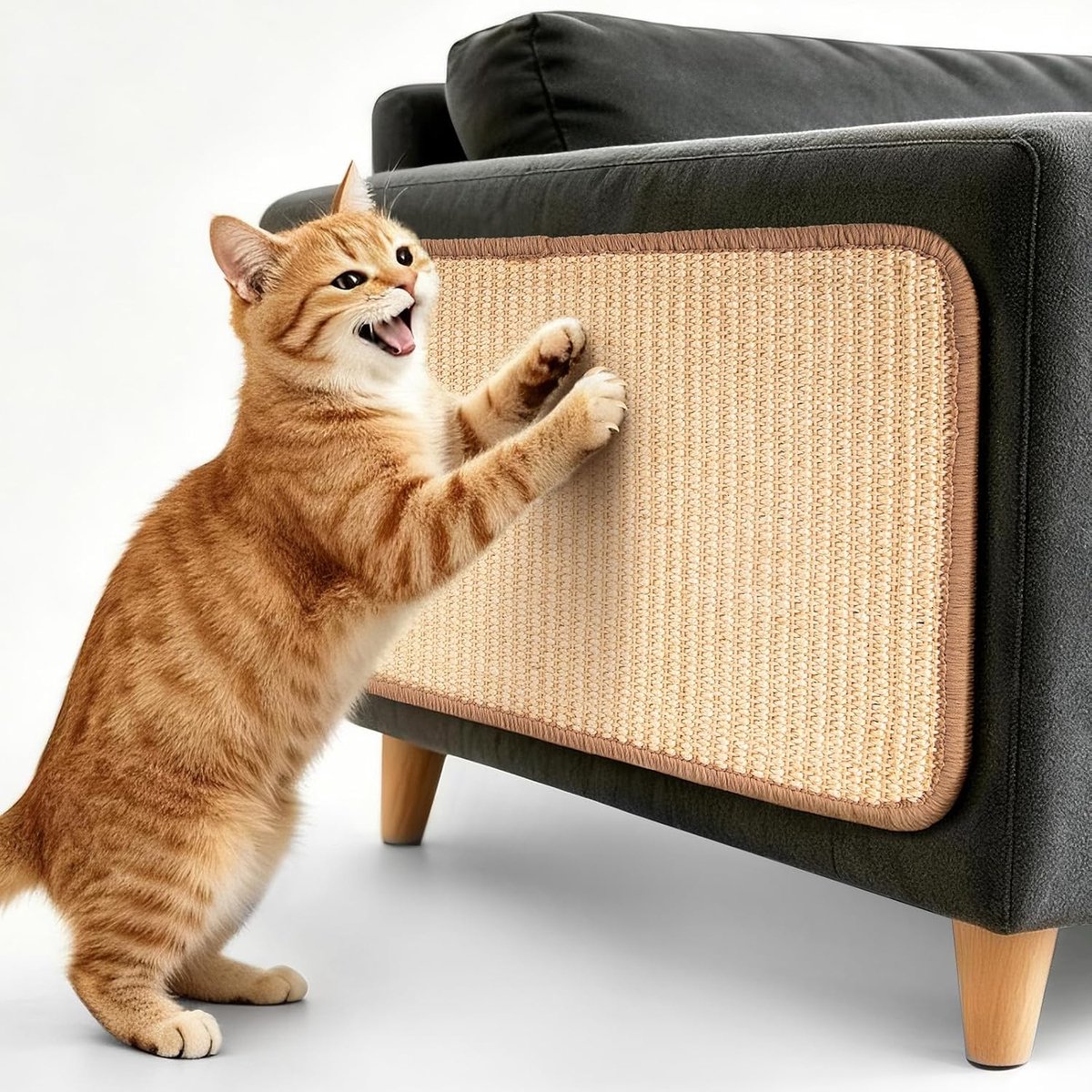 Sisal kattenkrabmat voor binnenkatten, handgeweven kattenkrabmat met antislip achterkant, muur- en sofabeschermer, krasbestendig, dikke, duurzame sisalmat met 4 bevestigingsnagels, 40 x 60 cm