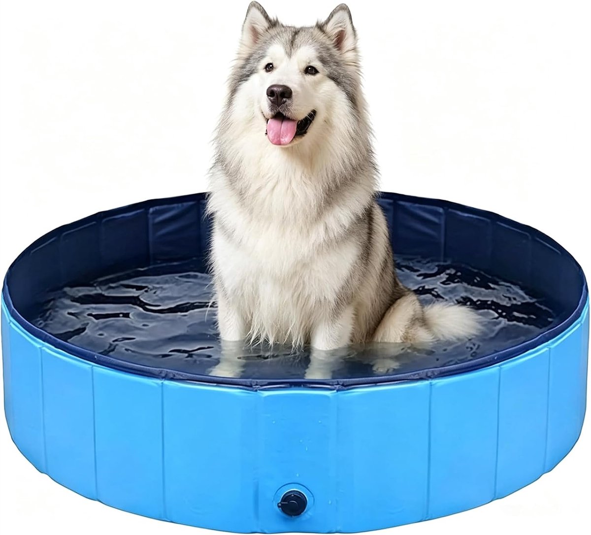 Hondenzwembad voor grote honden, pvc, opvouwbaar, 160 x 30 cm