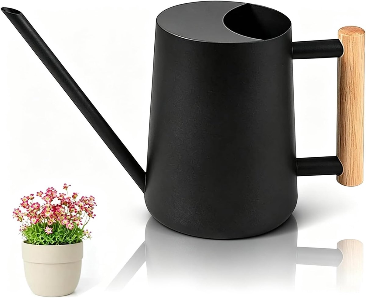 Stalen lange uitloop, gieter voor vetplanten, houten handvat voor gieter, potplanten, roestvrij staal, indoor gieter, geschikt voor het besproeien van kleine potplanten en kamerplanten