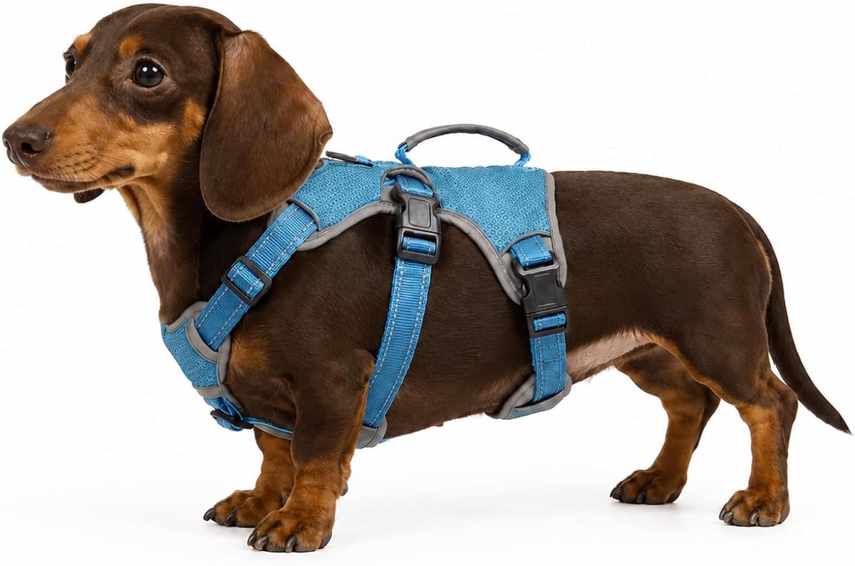 Hondenharnas, ontsnappingsbestendig, trekt niet, reflecterend, verstelbaar vest met duurzame handgreep, hondenharnas voor grote/actieve honden (blauw, S)