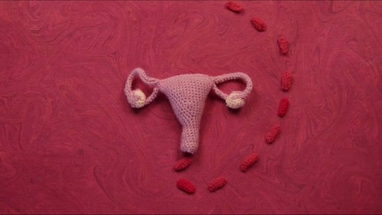 Eco Femme Heavy Flow Kit - Vibrant Organic Range - wasbaar maandverband pakket voor hevige menstruatie - Nachtverband - Kraamverband - XL en XXL - 4 stuks - 100 % Biologisch katoen - GOTS - donker