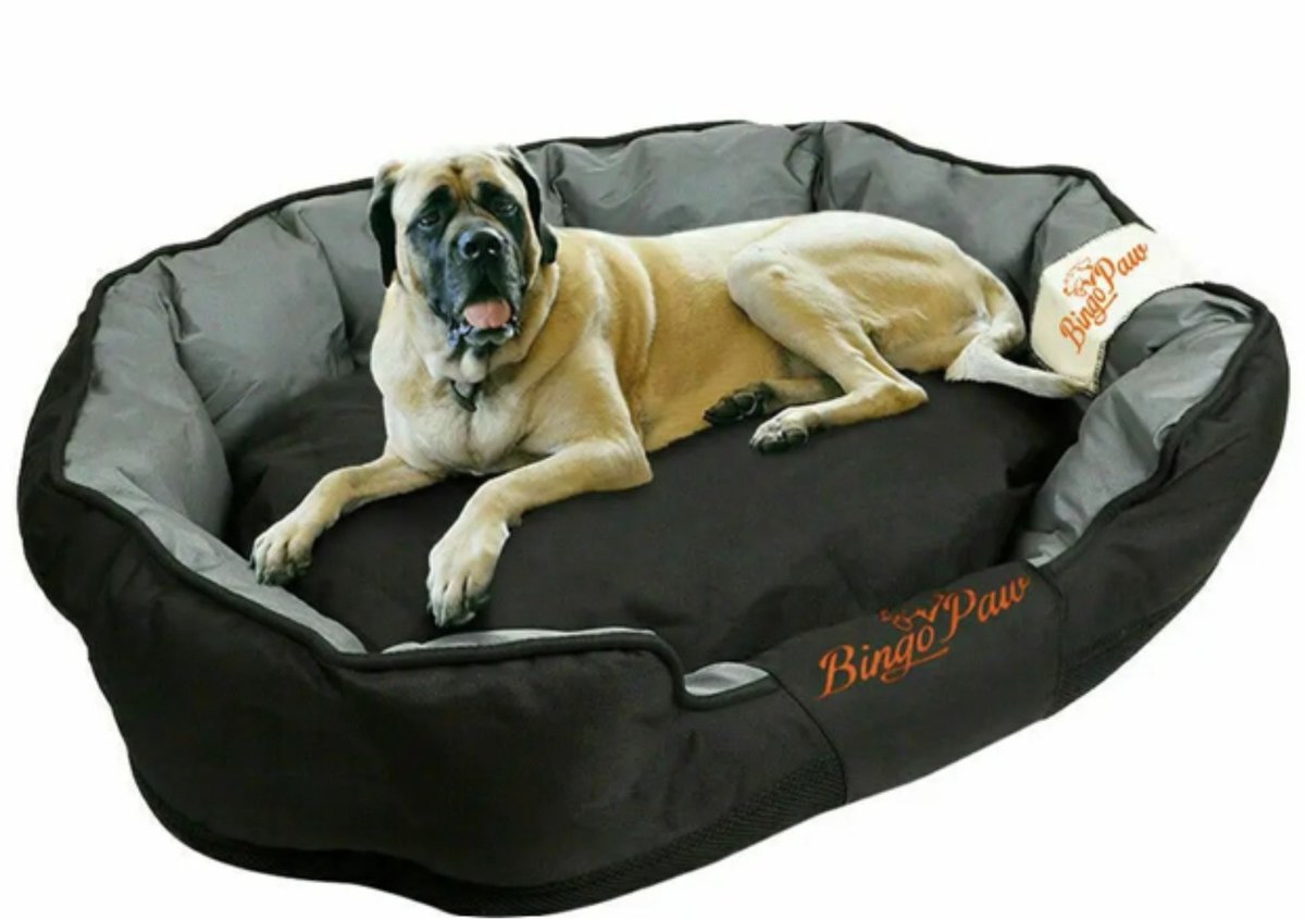 Chelsey-store - Orthopedische hondenmand - huisdiermat - Dierenmand - Wasbaar - XL voor middelgrote honden tot 40 kg - Zwart