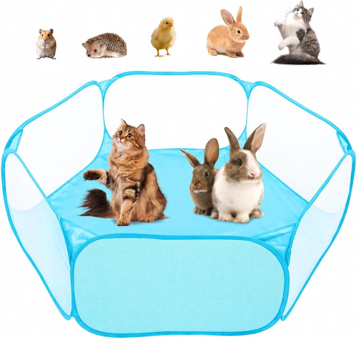 Loopstal voor kleine dieren, opvouwbare kooi, tent, draagbaar, ademend en transparant, oefenhek voor cavia's, cavia's, hamsters, chinchilla's, puppy's (blauw)