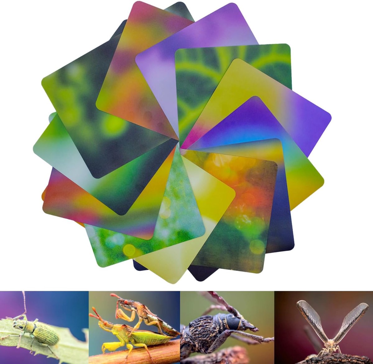 Achtergrond Kaartenset voor Macrofotografie, 12 stuks, 24 kleuren (21 x 15 cm), lichtabsorberend materiaal, vervagende achtergronden voor macrofotografie (A5N maten 12 stuks, 24