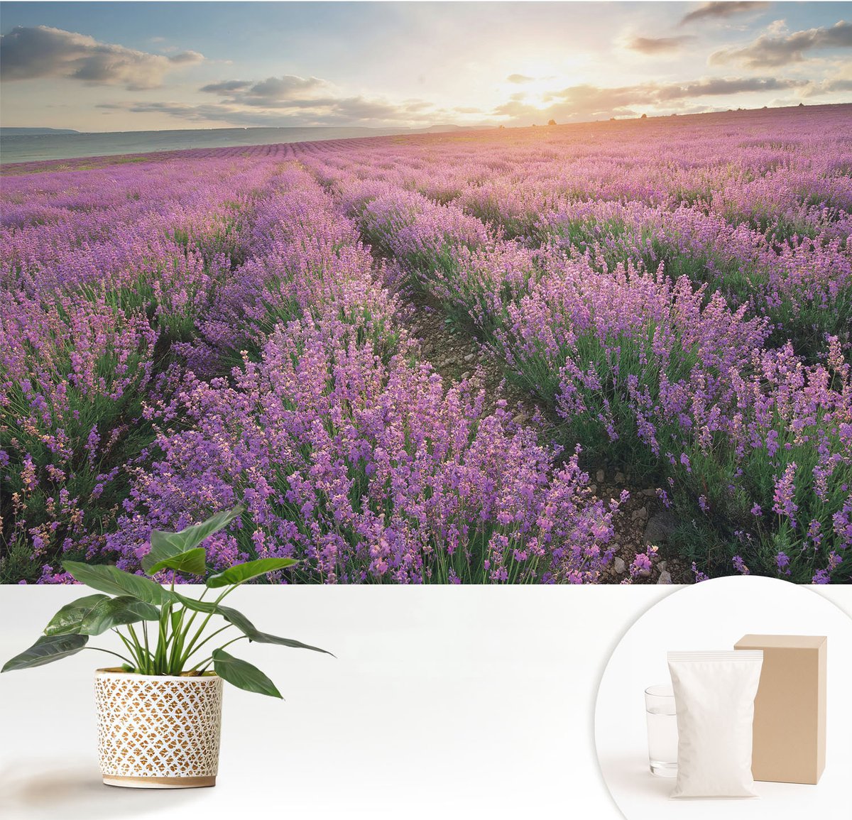 Wallfluent Fotobehang - Paars Vliesbehang - 152x104 cm - Lavendelvelden Fotobehang Vlies - Hal behang Landschappen - Muurschildering - Hal behang