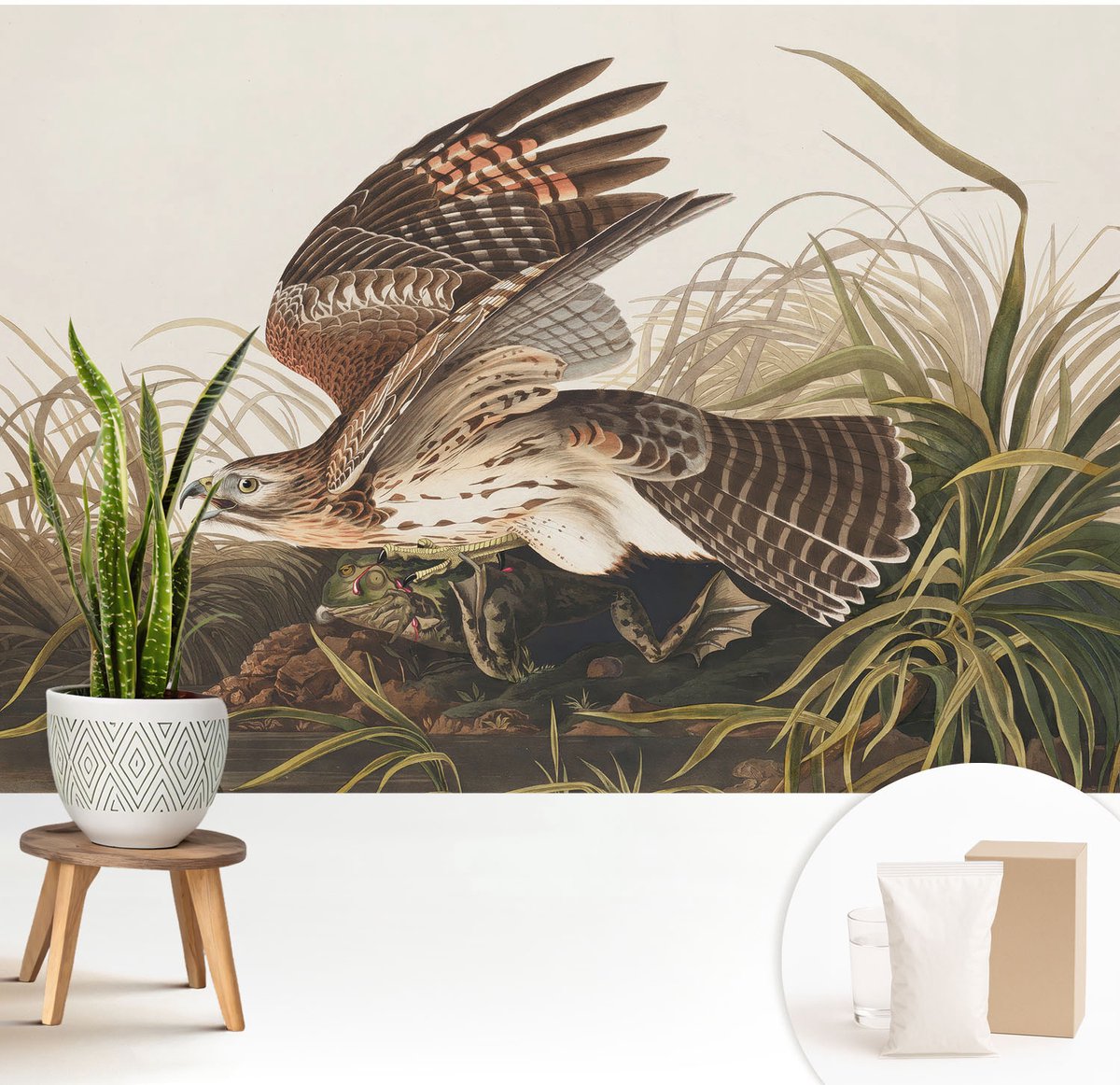 Wallfluent Fotobehang - Grijs Vliesbehang - 208x146 cm - Gevleugelde Schoonheid Fotobehang Vlies - Hal behang Dieren - Muurschildering - Woonkamer behang