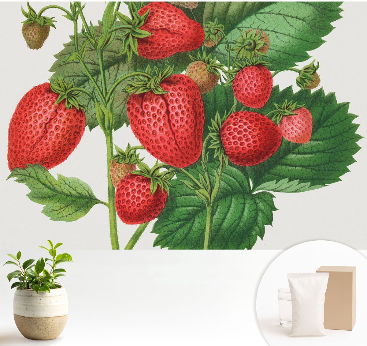 Wallfluent Fotobehang - Groente Vliesbehang - 104x70 cm - Zomerfruit Muurschildering - Gang behang Bloemen En Planten - Fotobehang Vlies - Slaapkamer behang