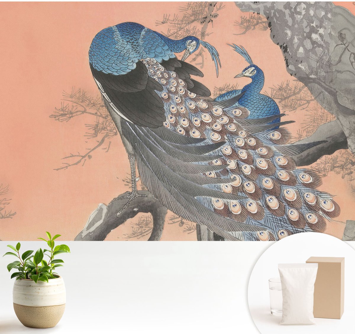 Wallfluent Fotobehang - Oranje Vliesbehang - 104x70 cm - Pauwenelegantie Muurschildering - Slaapkamer behang Dieren - Fotobehang Vlies - Slaapkamer behang