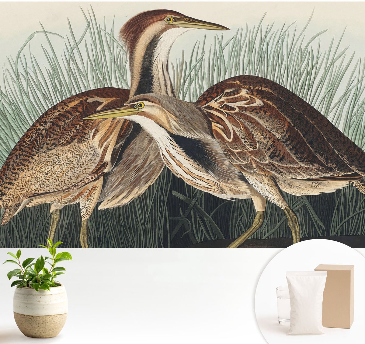 Wallfluent Fotobehang - Bruin Vliesbehang - 104x70 cm - Realistische Vogels Muurschildering - Gang behang Dieren - Fotobehang Vlies - Slaapkamer behang
