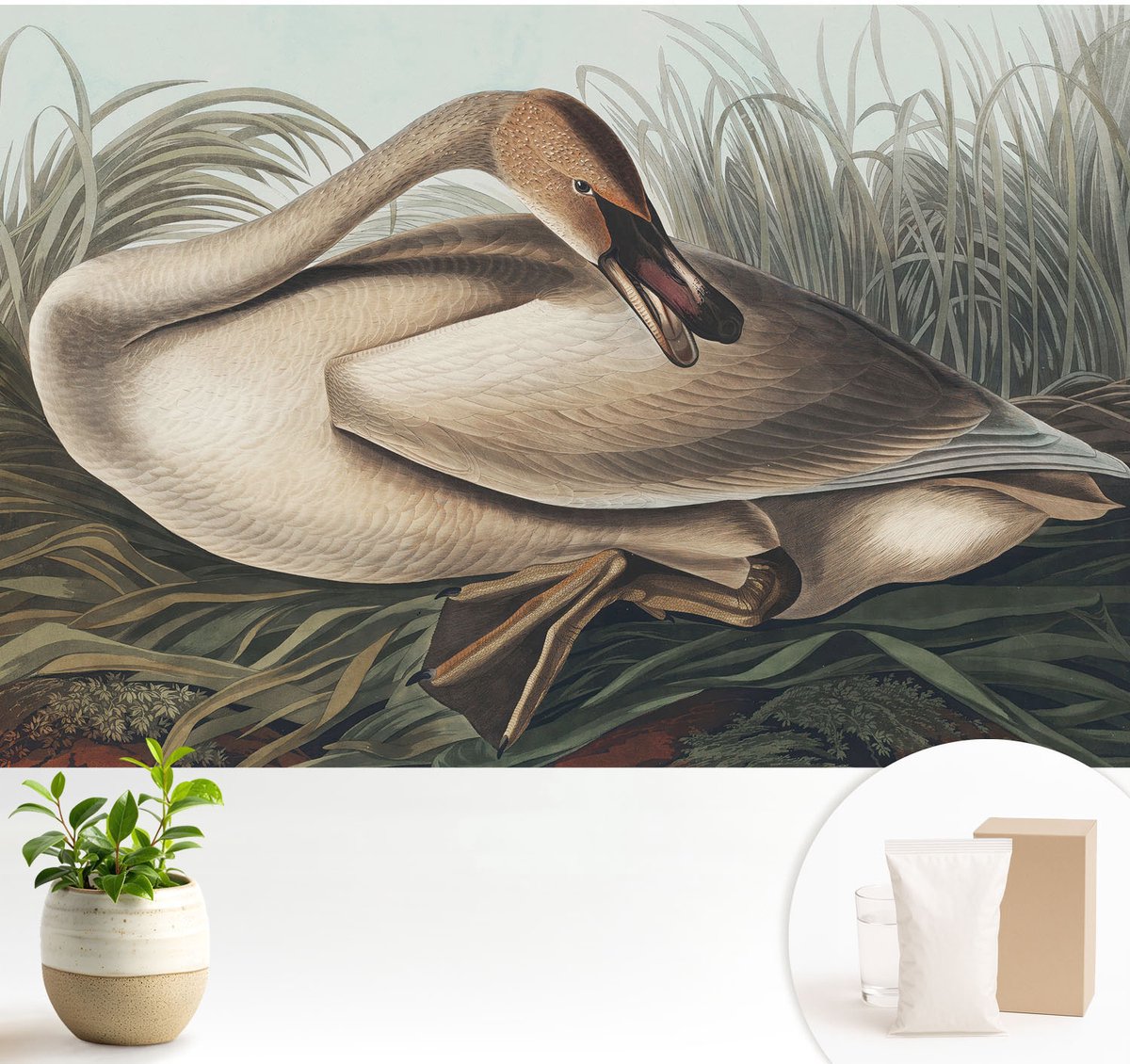 Wallfluent Fotobehang - Bruin Vliesbehang - 104x70 cm - Natuurlijke Vogel Fotobehang Vlies - Woonkamer behang Dieren - Muurschildering - Hal behang